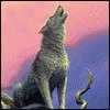 Avatar de l’usuari